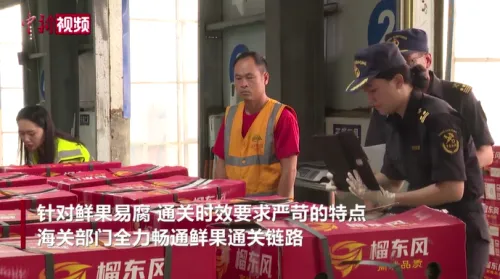 前5个月广西中越铁路进口水果量劲增 东盟鲜果降损输华
