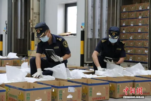 老挝香蕉“一箱直抵”重庆达2000吨 实现常态化运行