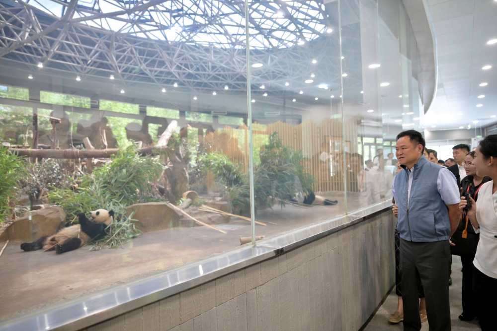 泰国总理阿努廷访川:愿与四川巩固拓展各领域务实合作