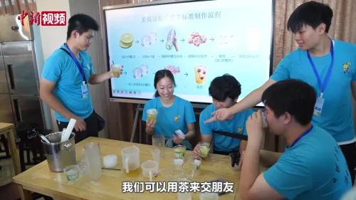 12国华裔青少年在琼体验中国茶文化：茶是各国民众相知相交的纽带