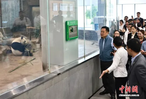 泰国总理阿努廷首次访华，双方都特别提到这句中文
