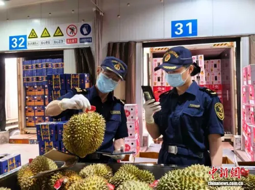 中越边境友谊关口岸上半年监管货值突破3600亿元