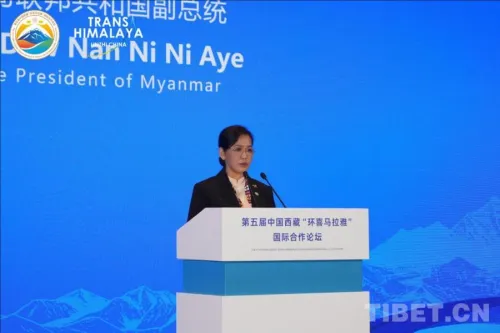 缅甸副总统南尼尼埃：雪域高原汇聚合作共识
