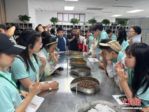 体验传统中医药文化、探访三星堆遗址 华星小记者沉浸式研学巴蜀