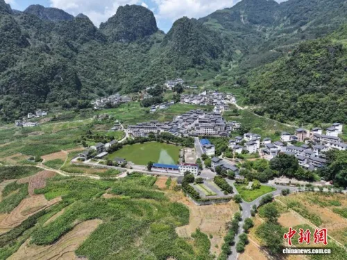 （走进中国乡村）桑树育绿链 广西山村引来东盟取经客