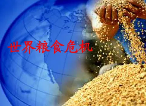 食品价格升至近三年最高点 全球粮食危机进一步加剧