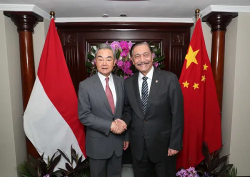 中国外交部长王毅会见印尼国家经济委员会主席卢胡特