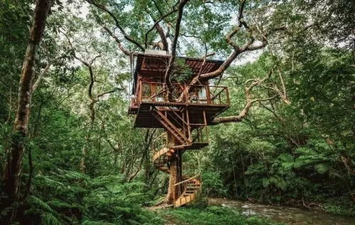 柬埔寨暹粒荔枝山规划树屋生态旅游项目 打造“森林住宿”的体验