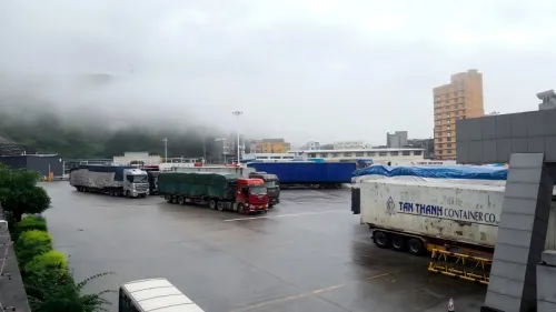 风雨守国门！中越边检民警连夜奋战保住2亿元跨境生鲜货物