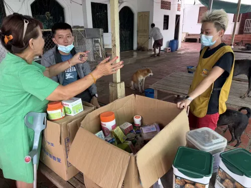 炳发城宠物生活馆 8月公益救助行动温情落幕