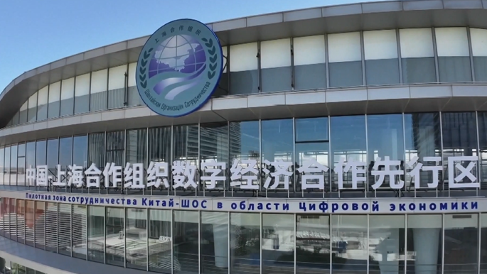 【视频】中国—上海合作组织口岸经济合作中心在天津成立