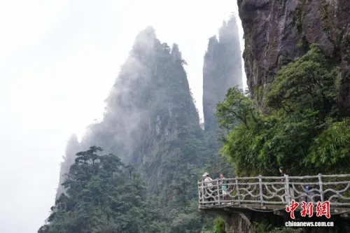 海外华媒走进湖南莽山 “一座不用爬的山”撬动入境游新增长