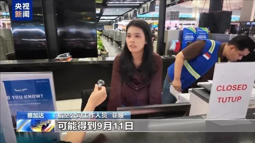 印尼雅加达主要机场恢复运营 仍有航班暂停