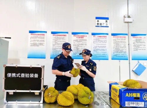 云南前8个月进口东盟水果91万吨