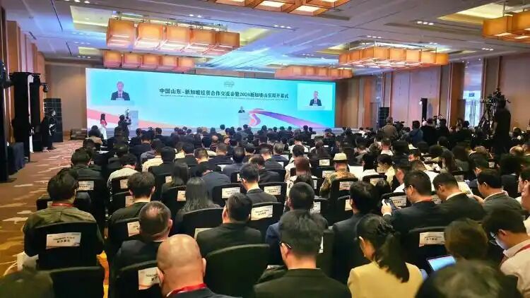 中国山东—新加坡经贸合作交流会暨2026新加坡山东周开幕式在新加坡举行