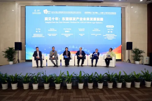 2026面向东盟AI赋能银发经济高质量发展交流活动在南宁举行