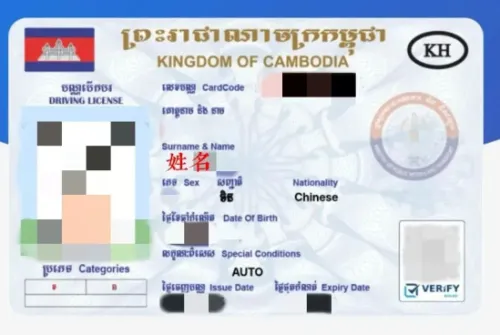柬埔寨｜电子驾照，Beautiful Khmer 手把手申领教程，拿走不谢！