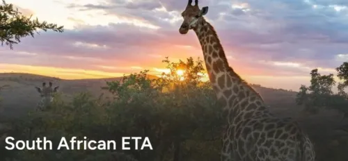 南非｜ETA电子签在线教程，24小时光速出签！