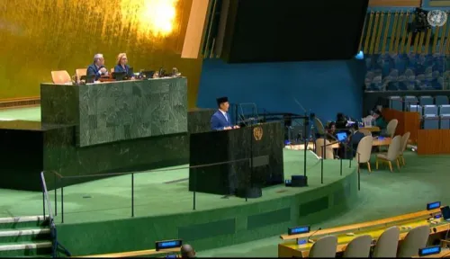 印尼争取2029-2030年联合国安理会席位