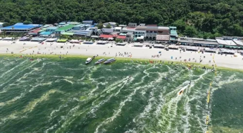 泰国芭堤雅阁兰岛出现“绿海”奇观 专家：雨季浮游生物暴发所致