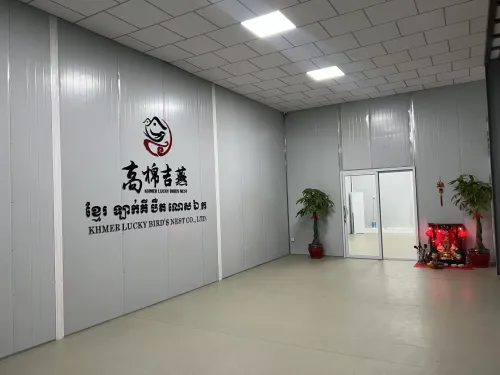 来自柬埔寨的天然滋补瑰宝 —— 以一盏好燕窝，温润守护每一口呼吸