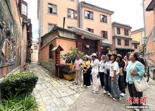 20余名泰国华裔走进云南玉溪：于村寨间看见中国乡村新样貌