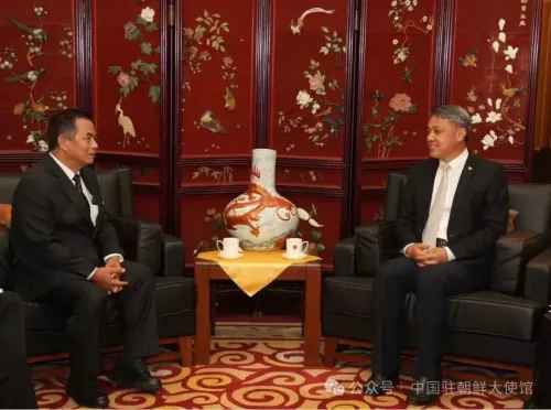 中国驻朝鲜大使王亚军会见印尼新任驻朝鲜大使约金达