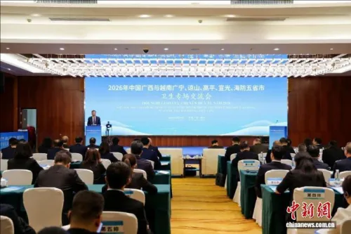 广西与越南五省市开展卫生专场交流活动
