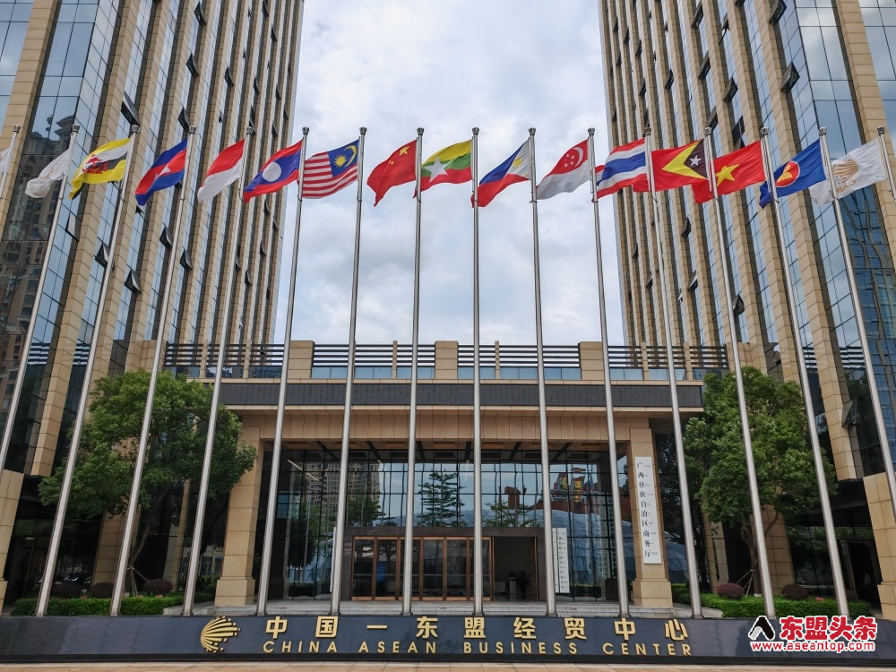 深化中国—东盟务实合作 中国—东盟经贸合作专家许宁宁提五大建议